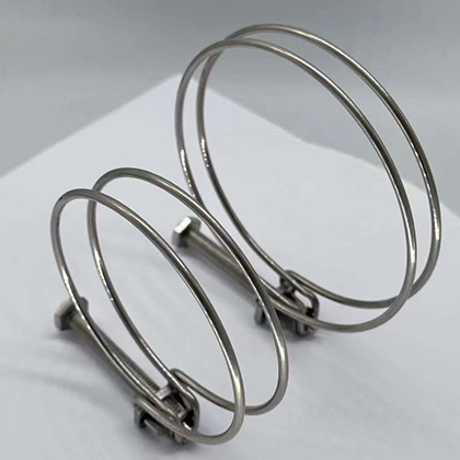 Double Wire Hose Clamp 304 Stainless Steel Pipe Clamps Adjustable 10-45mm