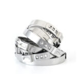 Single Ears Hose Clamp  304 stainless steel adjustable Clamps Ear for car train ship